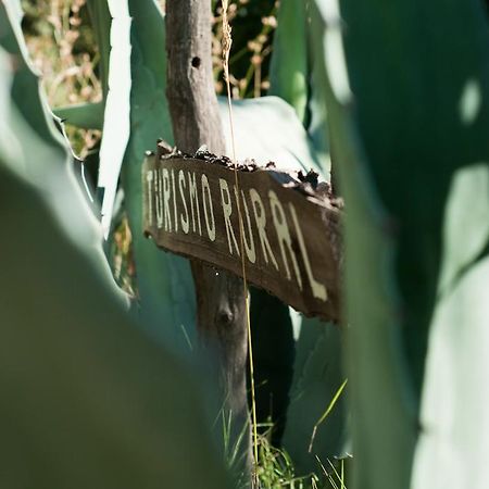 Hosteria Rural Viejo Roble San Rafael (Mendoza) Exterior photo