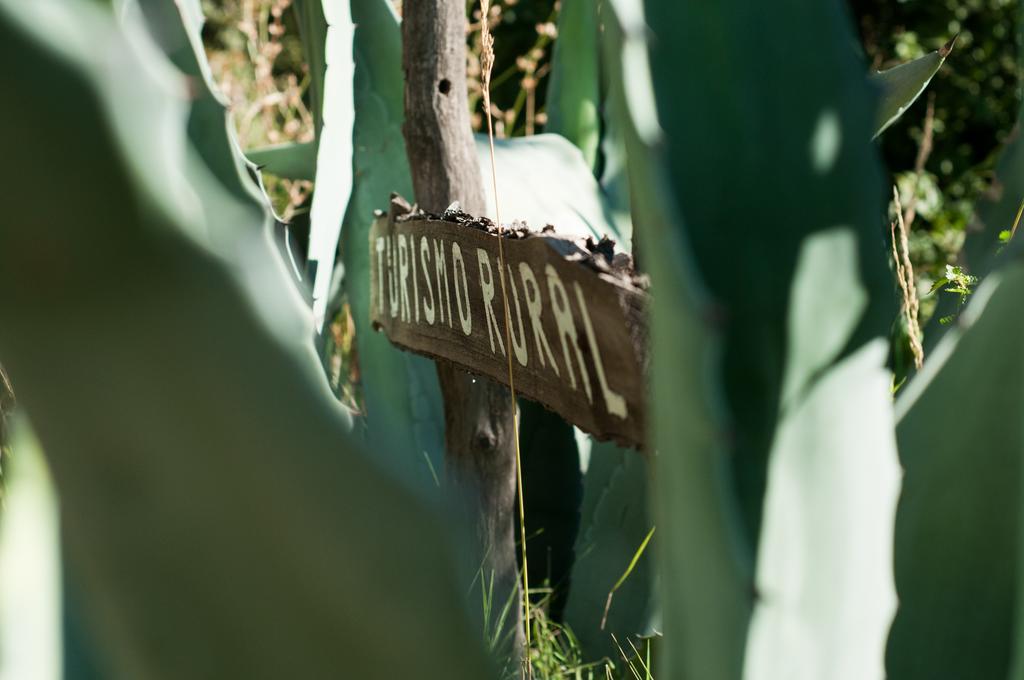 Hosteria Rural Viejo Roble San Rafael (Mendoza) Exterior photo
